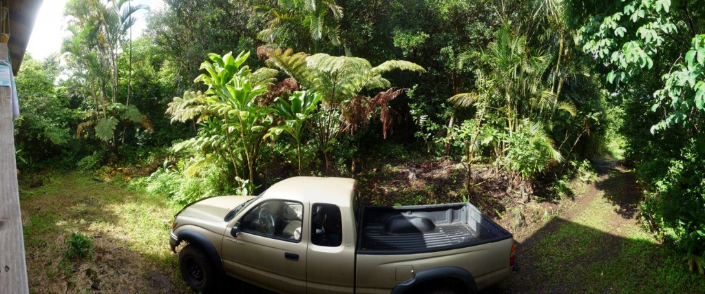 South Side Driveway Pan